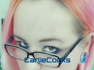 CarlieCocks
