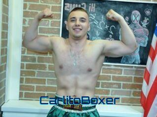 CarlitoBoxer