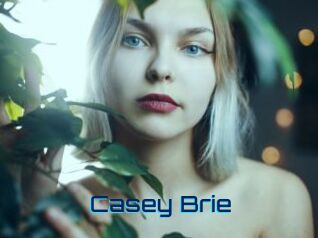 Casey_Brie Vidéos de Cul FR