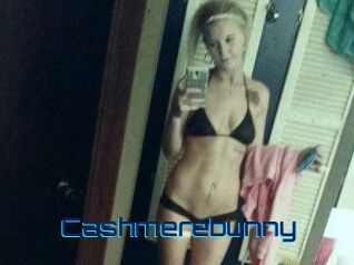 Cashmerebunny