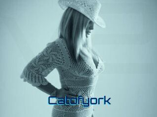 Catofyork