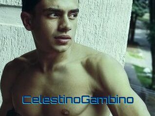 CelestinoGambino