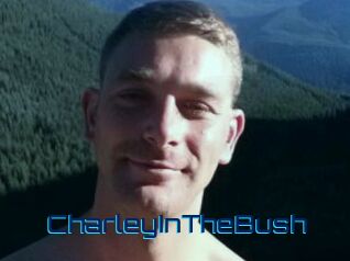 CharleyInTheBush