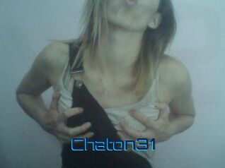 Chaton31