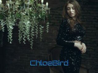 ChloeBird