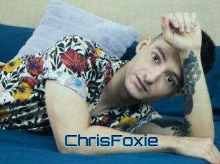 ChrisFoxie Vidéos de Cul FR
