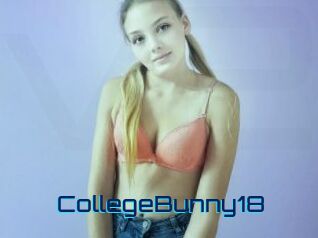 CollegeBunny18