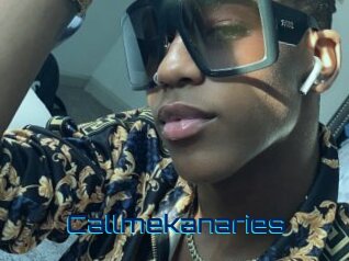 Callmekanaries
