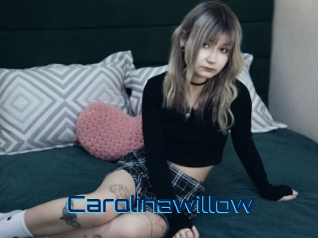 Carolinawillow