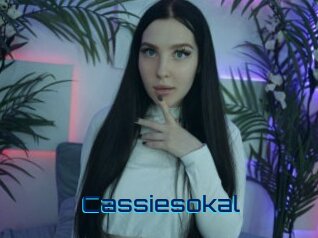 Cassiesokal