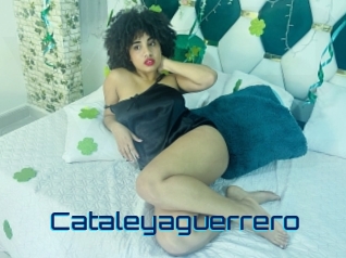 Cataleyaguerrero