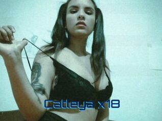Catleya_x18