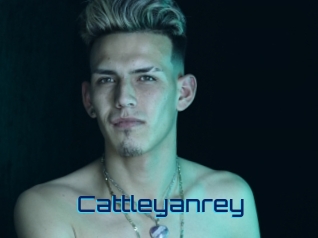 cattleyanrey Vidéos de Cul FR