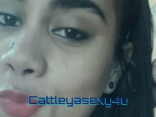 Cattleyasexy4u