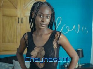 Chaynascot