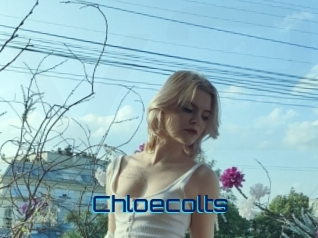 Chloecolts