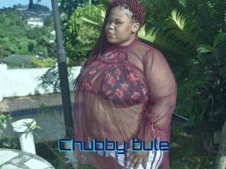 Chubby_bule