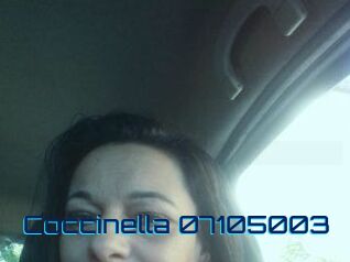 Coccinella-07105003