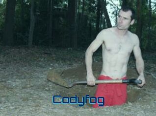 Codyfog