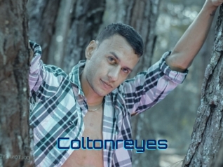 Coltonreyes