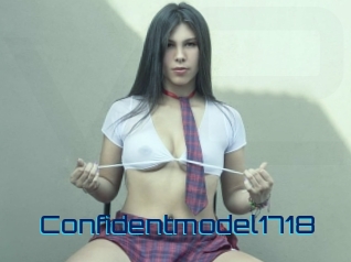Confidentmodel1718