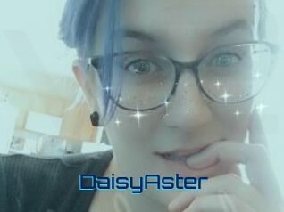 DaisyAster