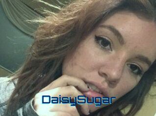 Daisy_Sugar