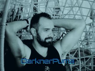 DarknerPuma