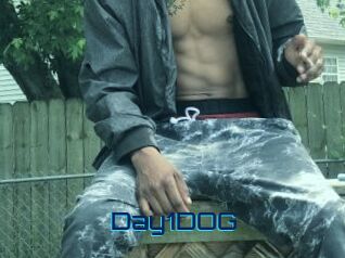 Day1DOG