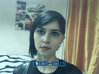 DidiHoldi
