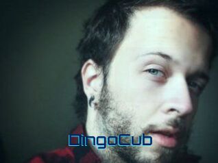 DingoCub
