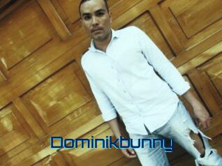 Dominikbunny