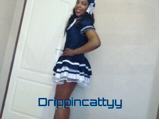 Drippincattyy