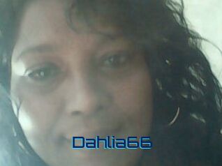 Dahlia66