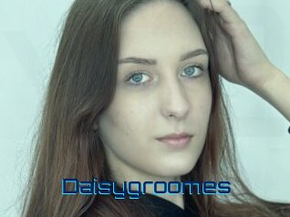 Daisygroomes