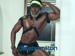 dalehamilton Vidéos de Cul FR