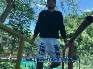 Damiaansmith