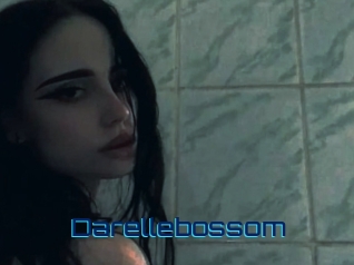 Darellebossom