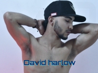david_harlow Vidéos de Cul FR