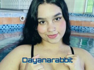Dayanarabbit