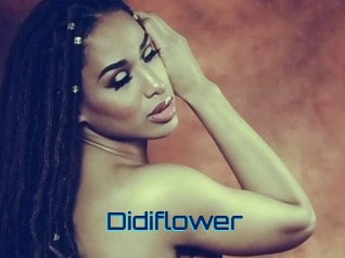 Didiflower