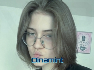 Dinamint
