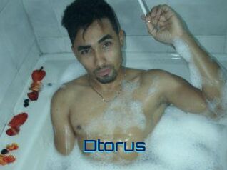 Dtorus