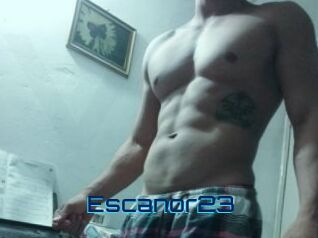 Escanor23 Vidéos de Cul FR