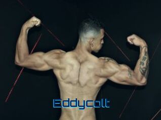 Eddycolt