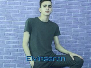 Eivinaaron