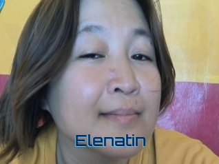 Elenatin