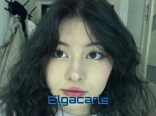 Elgacarls