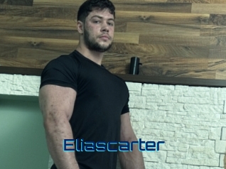 eliascarter Vidéos de Cul FR