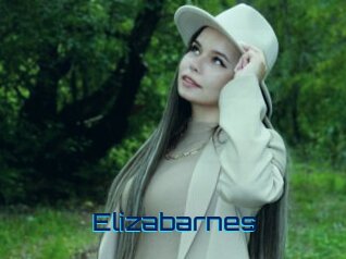 Elizabarnes